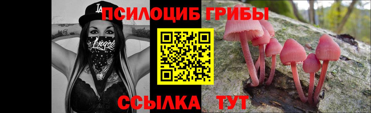 Галлюциногенные грибы мухоморы Прохладный