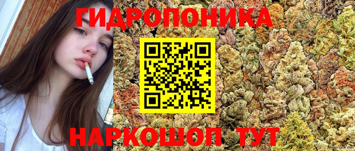 Канабис марихуана Прохладный